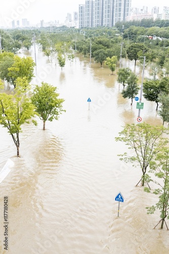 Photography flood damage, flood, city, seoul, han river