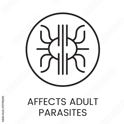 A vector linear icon of a circle with a zoomed view of a parasite silhouette, representing the effect on adult parasites with an editable stroke