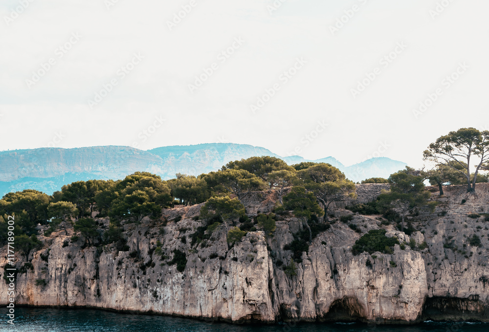 Fototapeta premium Splendeurs des Calanques : Nature et Mer Méditerranéenne