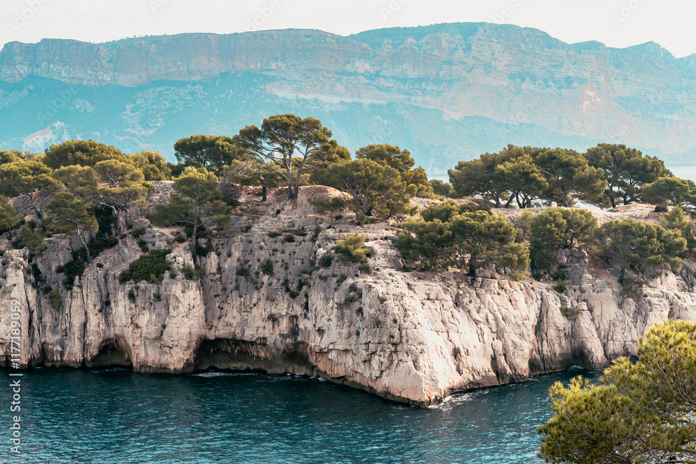 Splendeurs des Calanques : Nature et Mer Méditerranéenne