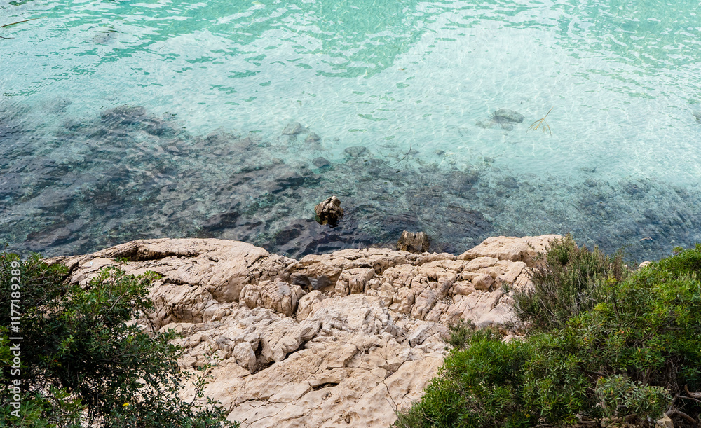 Splendeurs des Calanques : Nature et Mer Méditerranéenne