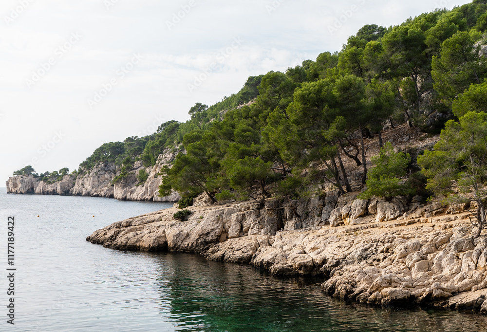 Splendeurs des Calanques : Nature et Mer Méditerranéenne