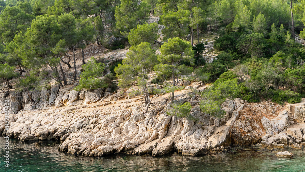 Splendeurs des Calanques : Nature et Mer Méditerranéenne