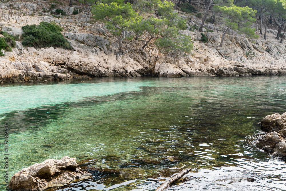 Splendeurs des Calanques : Nature et Mer Méditerranéenne