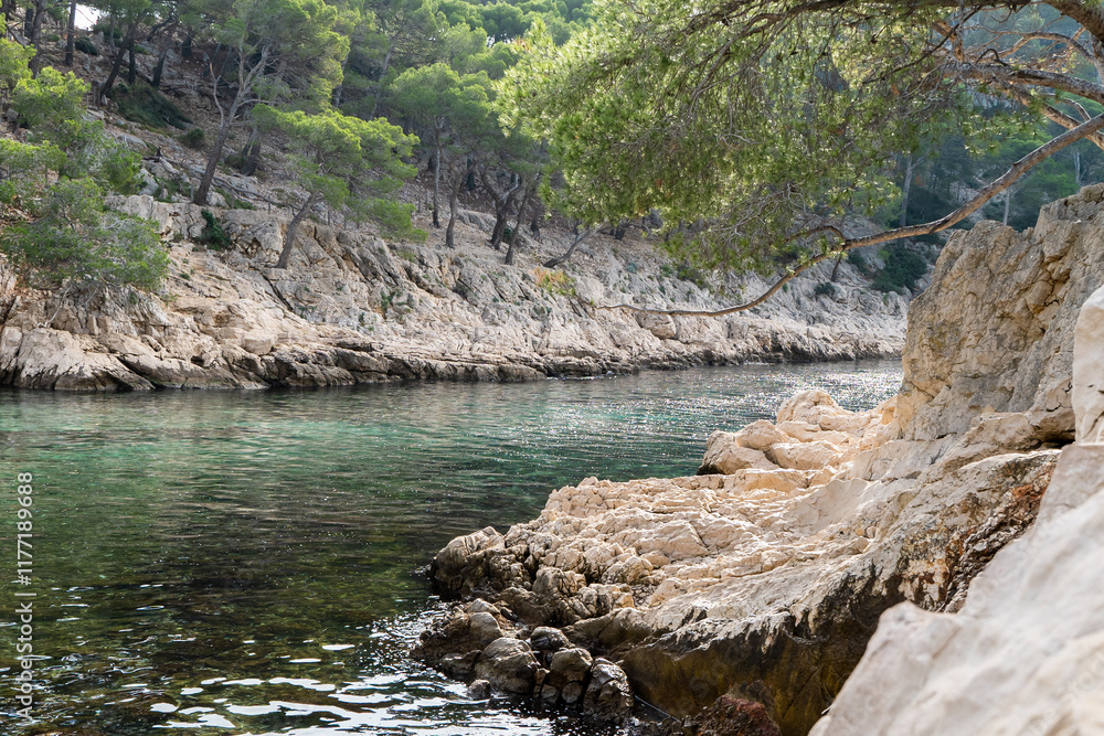 Splendeurs des Calanques : Nature et Mer Méditerranéenne