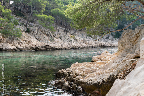 Splendeurs des Calanques : Nature et Mer Méditerranéenne
