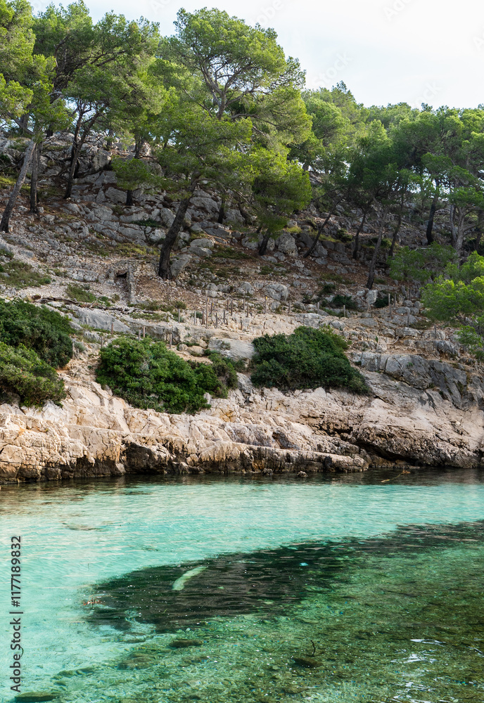 Splendeurs des Calanques : Nature et Mer Méditerranéenne