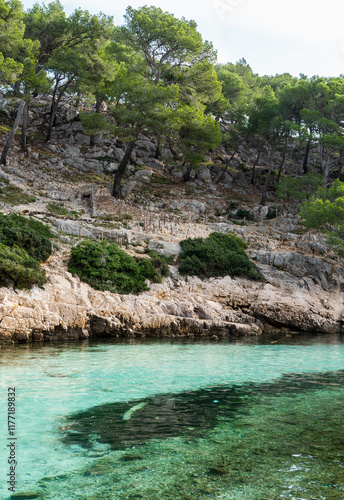 Obraz na płótnie Splendeurs des Calanques : Nature et Mer Méditerranéenne w salonie
