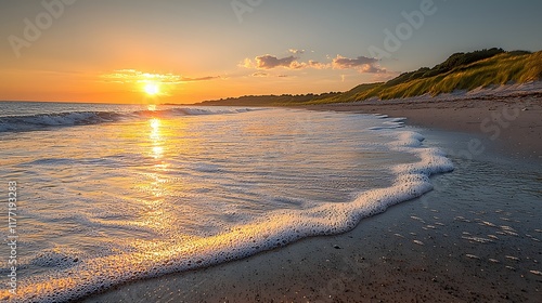 Wallpaper Mural Golden Sunset Beach Waves Torontodigital.ca