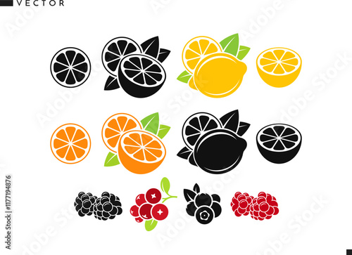 Fruit with berries vector. Isolated orange fruit lemon lime raspberry blackberry cranberry and blueberry. Natural food icon 
