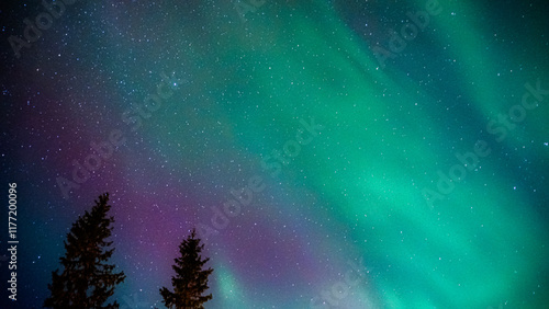 Aurora borealis northern lights norway