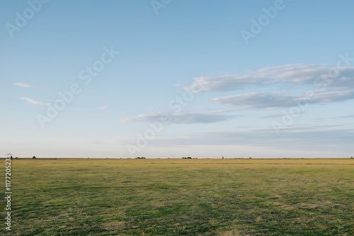 A wide, flat grassland stretches to the horizon under a pale blue sky with a few wispy clouds. The scene is peaceful and expansive, suggesting a rural or prairie landscape.