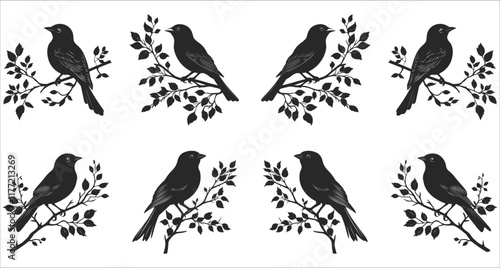 Abstract bird on a branch silhouettes, Wildlife bird silhouette vector