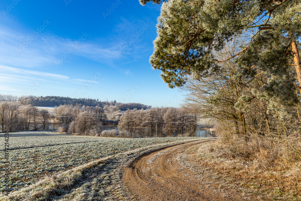 A dirt road in the countryside. A cold winter morning in Central Europe.