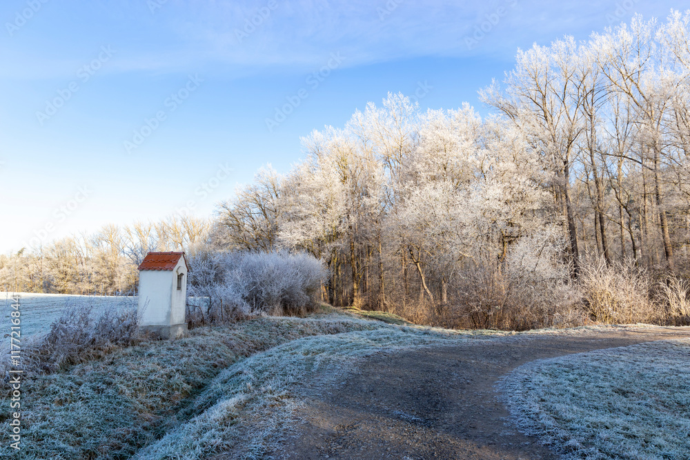 A dirt road in the countryside. A cold winter morning in Central Europe.