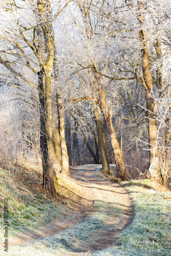 Obraz na płótnie A dirt road in the countryside. A cold winter morning in Central Europe. w salonie