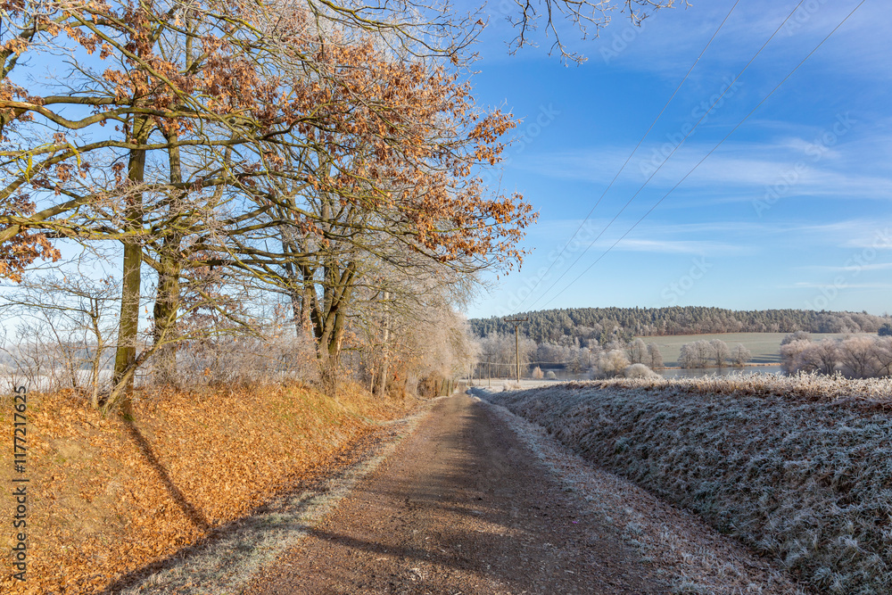 A dirt road in the countryside. A cold winter morning in Central Europe.