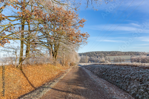 Obraz na płótnie A dirt road in the countryside. A cold winter morning in Central Europe. w salonie
