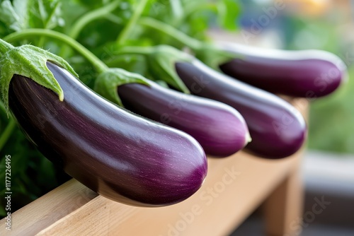 This image showcases a group of freshly harvested purple eggplants beautifully arranged against a lush green backdrop, highlighting their glossy texture and vibrant color. photo