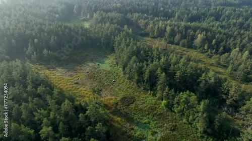 Aerial view of wetland in Kaarmise - Jõempa conservation area located in the Jõempa karst area. Saaremaa, Estonia. photo