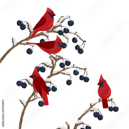 shiny cotoneaster and nothern cardinal birds, tree branch with berries in winter with snow, isolated at white background, hand drawn illustration