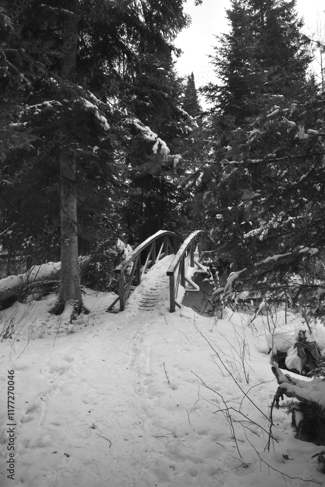 Parc Appalaches 24 Décembre Au 2 Janvier 2025 N&B Parc Appalaches 24 Décembre Au 2 Janvier 2025 N&B