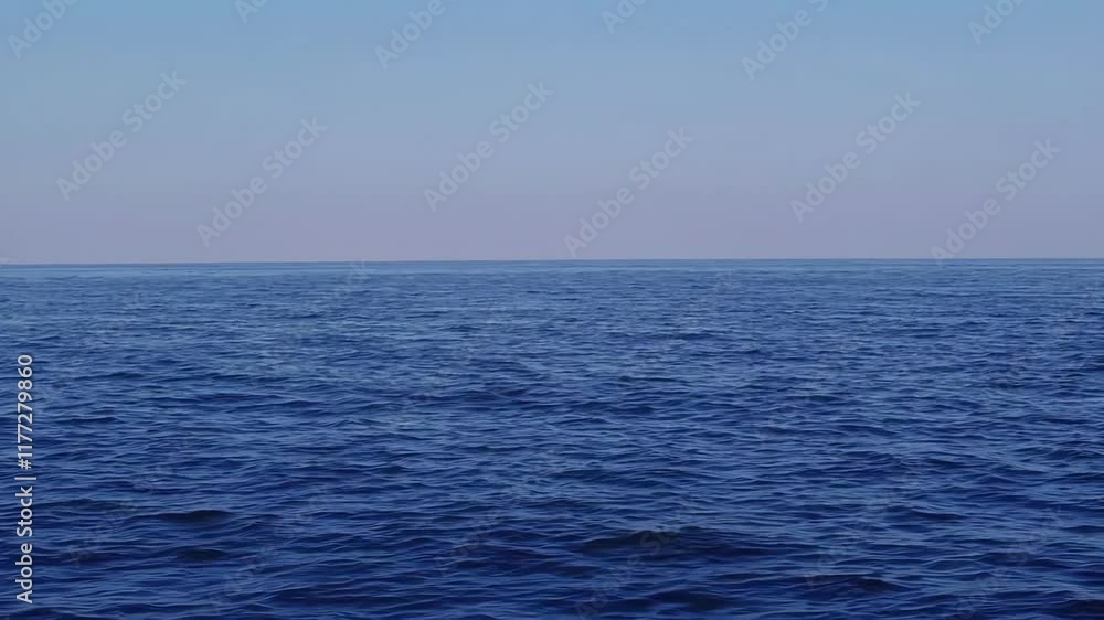 Endless Ocean Horizon under Clear Sky Endless Ocean Horizon under Clear Sky
