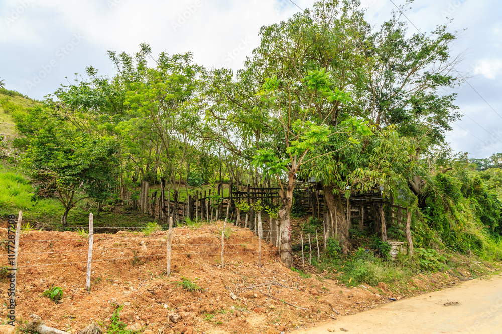 A rural area with a dirt road and a small house A rural area with a dirt road and a small house