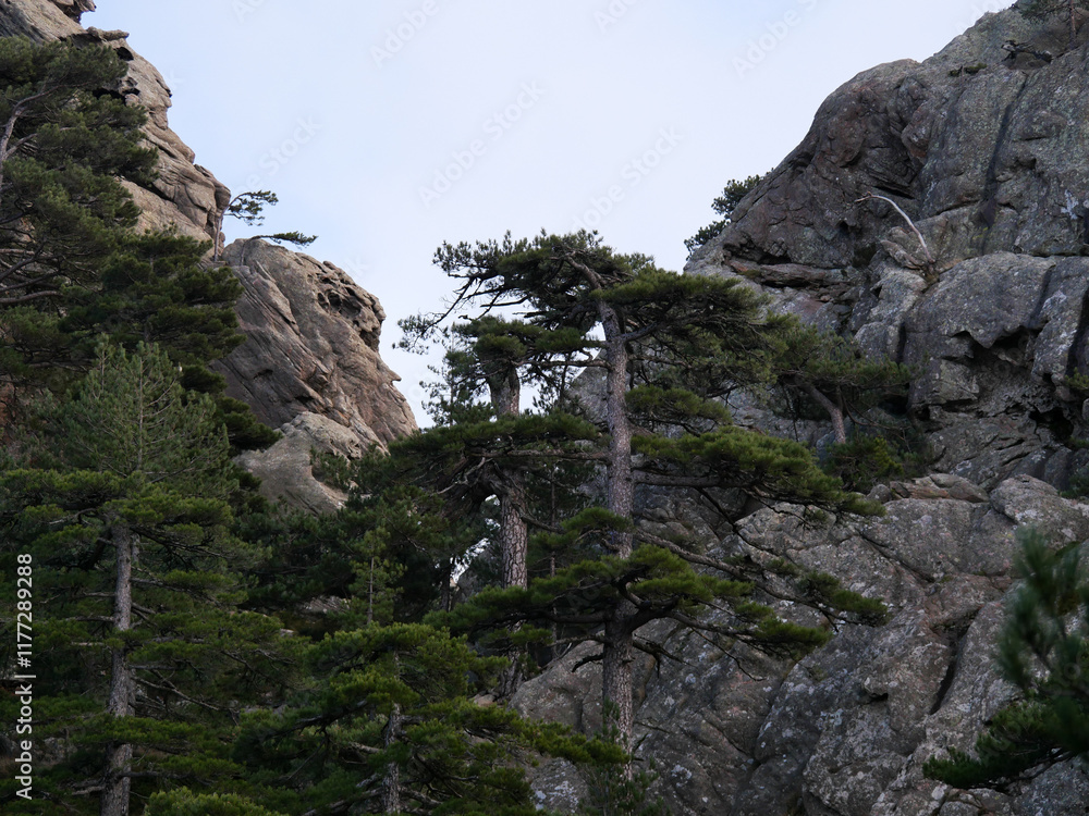 Fototapeta premium Corse - Randonnée - Punta Velaco - Aiguille de Bavella