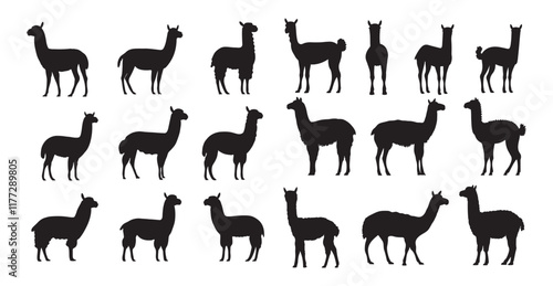  llama animal silhouette cutting stencil templates ,Llama silhouettes set, animal pack of vector silhouette design, isolated background