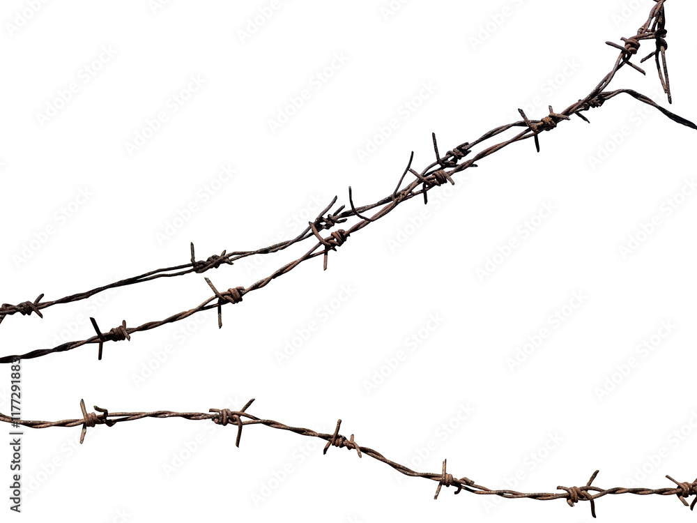 Abstract Three barbed wire isolated element Abstract Three barbed wire isolated element