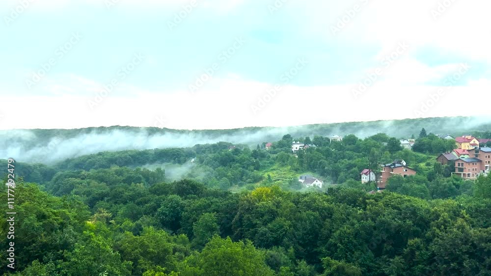 Raindrops fall against the background of trees in a forest and fog.