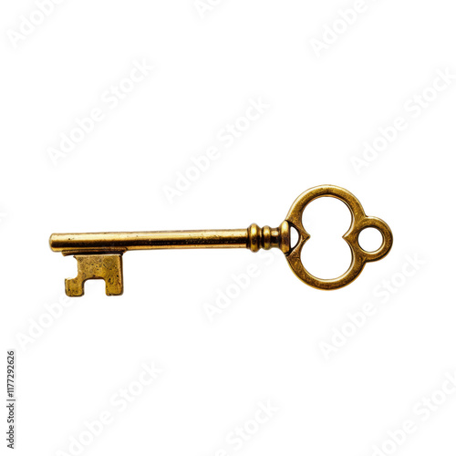Antique Skeleton Key: A golden key to success and mystery.  A symbol of opportunity, secrets, and hidden treasures.