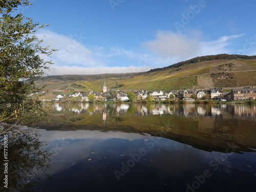 Merl an der Mosel, Rheinland-Pfalz photo