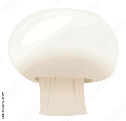 Mushroom champignon on white background. vector 