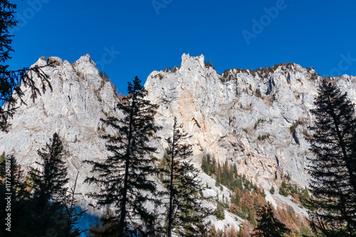 Majestic mountain peak Pribitz with rugged rock face in Hochschwab region, Styria, Austria. Ridges rise sharply from valley. Silhouette of coniferous trees in foreground. Steep cliffs in Austrian Alps photo