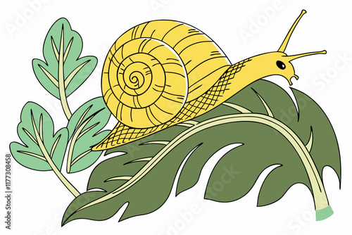 snail on a branch