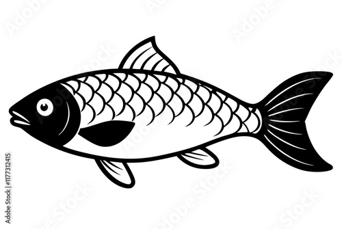 fish on a white background