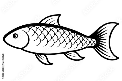 fish isolated on white background