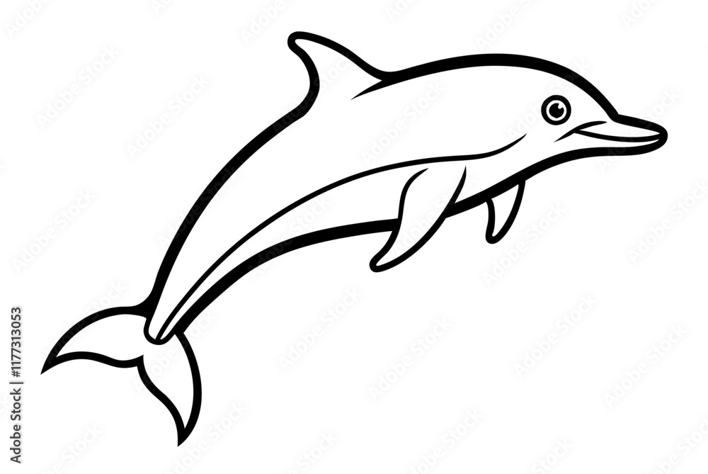dolphin isolated on white background dolphin isolated on white background