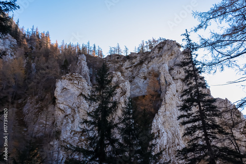 Majestic mountain peak Pribitz with rugged rock face in Hochschwab region, Styria, Austria. Ridges rise sharply from valley. Silhouette of coniferous trees in foreground. Steep cliffs in Austrian Alps photo