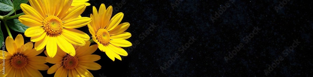 Fototapeta premium A bouquet of bright yellow daisies placed on a black velvet cloth, flower arrangement, yellow flowers, daisies
