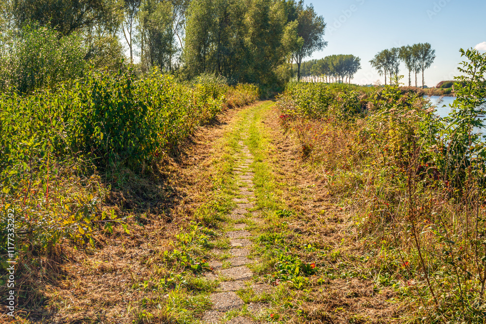 Narrow path of concrete stones between wild plants and bushes and along the water of a canal. The photo was taken on a sunny day in the autumn season.