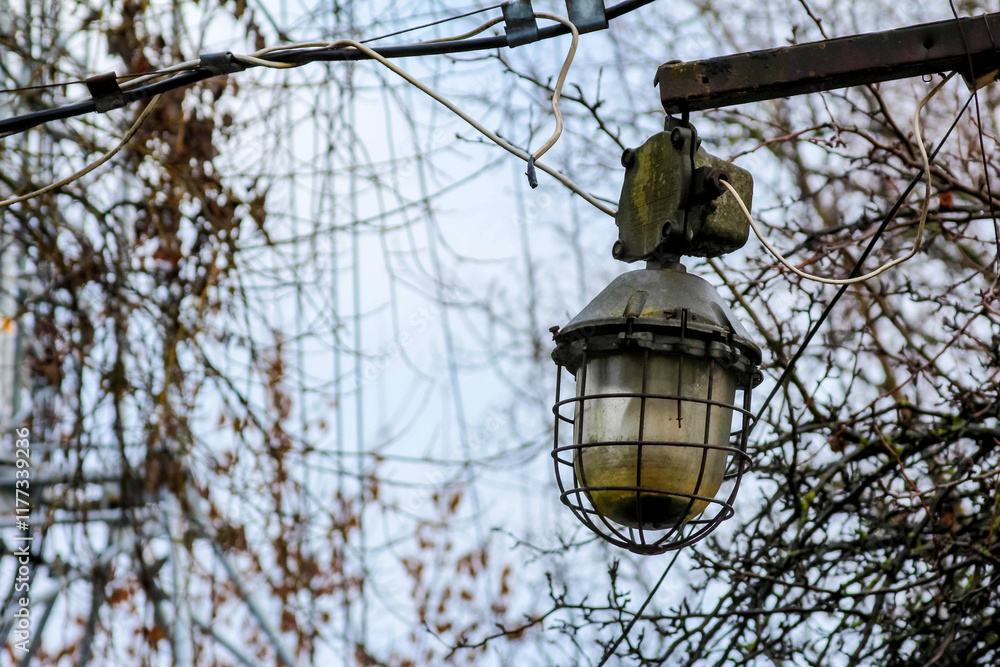 Weathered street lamp hanging over creeping vines in quiet urban setting Weathered street lamp hanging over creeping vines in quiet urban setting