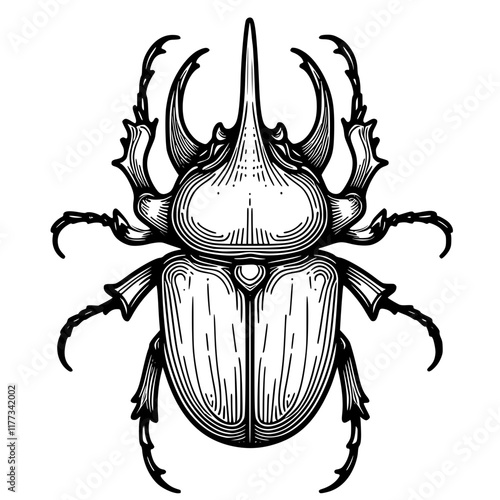 stag beetle isolated on white