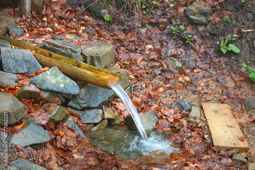 Obraz na płótnie Water flows gently from a rustic wooden trough into a serene stone pool surrounded by autumn leaves w salonie