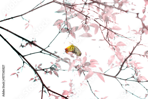 Dreamy butterflies flutter amidst falling petals from blooming pink tree against a pastel sky. Evokes serenity and spring. Beautiful butterfly yellow and multicolor wing feeding nectar of flowers.