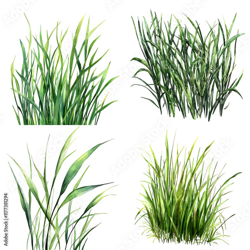 Vibrant grass illustrations nature scenes digital art lush environment overhead view botanical aesthetics
