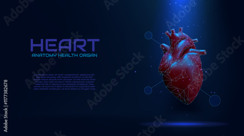 Human heart. Anatomy organ. Health care. Digital cardiology diagnostic. Medical banner. Arrhythmia heartbeat. Cardio hypertension. Glowing polygonal shape. Vector medicine background
