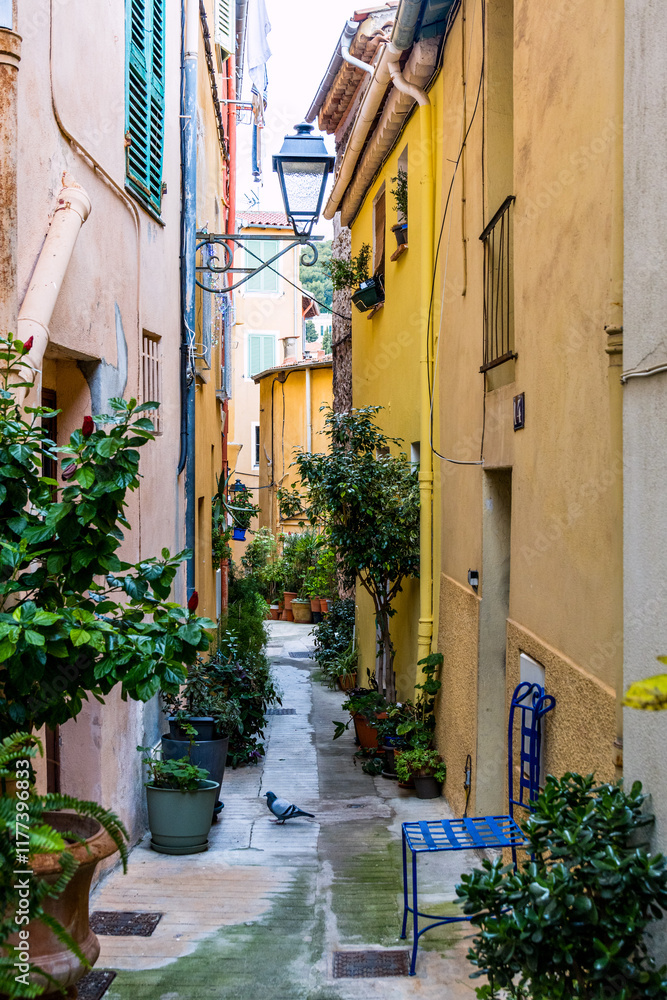 Naklejka premium Dans les rues de Menton, capitale du citron en France